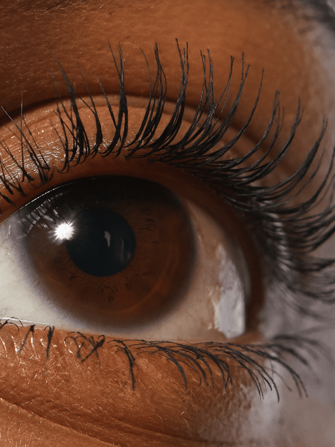 Refy Lash Sculpt - Kirpik Şekillendirici