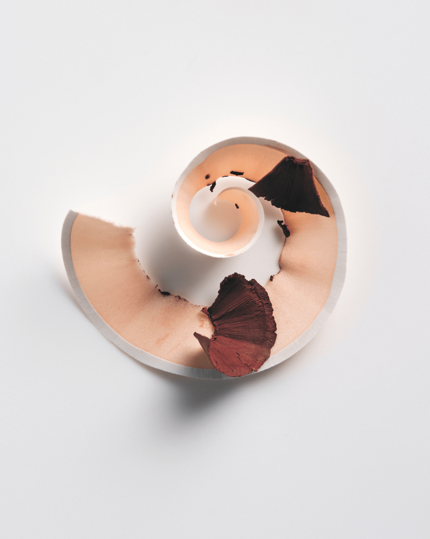 Glossier Lip Line - Dudak Kalemi
