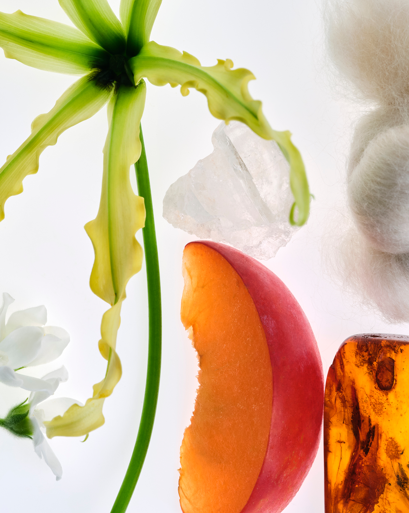 Glossier You Fleur - Parfüm